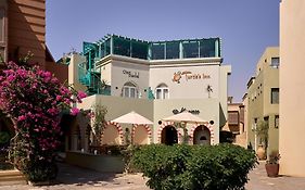 Turtles Inn el Gouna